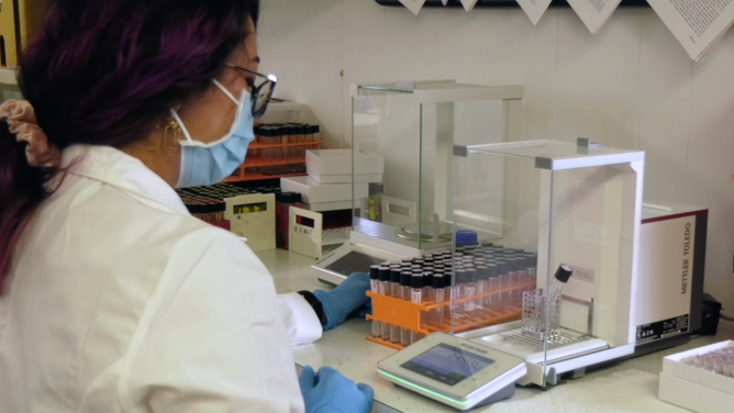 University of Hawaii researcher studying Brucella ceti.